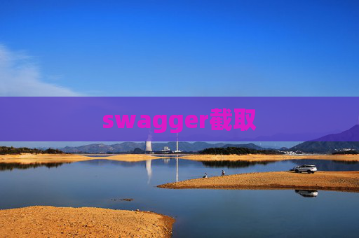 swagger截取
